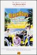 Endless Harmony: the Beach Boys Story
