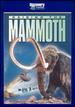 Raising the Mammoth [Vhs]