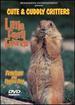 Cute & Cuddly Critters: Little Furry Friends [Dvd]