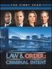 Law & Order Criminal Intent-the First Year