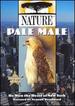 Nature-Pale Male