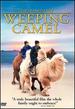 The Story of the Weeping Camel [Dvd] (2005) Janchiv Ayurzana; Chimed Ohin; Am...