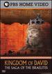 Empires-the Kingdom of David-the Saga of the Israelites