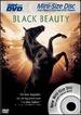Black Beauty [Mini-Dvd]
