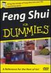 Feng Shui for Dummies [Dvd]