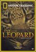 National Geographic-Eye of the Leopard
