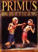 Primus: Animals Should Not Try to Act Like People (Dvd & Cd)