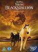 The Young Black Stallion [Dvd]