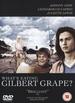 Whats Eating Gilbert Grape [1993] (Johnn: Whats Eating Gilbert Grape [1993] (Johnn