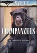 Nature: Chimpanzees-An Unnatural History