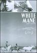 White Mane (the Criterion Collection)