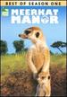 Best of Meerkat Manor-Season 1