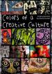 Colors of a Creative Culture