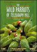 The Wild Parrots of Telegraph Hill (Special Two-Disc Collector's Edition)