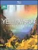 Yellowstone: Battle for Life [Blu-Ray]