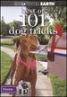Best of 101 Dog Tricks