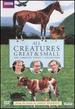 All Creatures Great & Small: the Complete Series 1 Collection (Repackage)