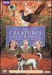 All Creatures Great & Small: the Complete Series 2 Collection