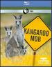 Nature: Kangaroo Mob [Blu-Ray]