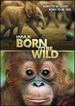 Imax: Born to Be Wild