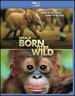 Imax: Born to Be Wild (Movie-Only Edition + Ultraviolet Digital Copy)