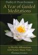 A Year of Guided Meditations