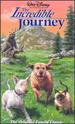 Incredible Journey [Vhs]