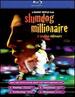 Slumdog Millionaire Dvd