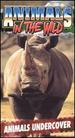 Animals in the Wild 5: Animals Undercover [Vhs]