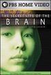 The Secret Life of the Brain, Part 3: The Teenage Brain-A World of Their Own