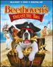 Beethoven's Treasure Tail [Blu-Ray]