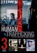 Human Trafficking With Bonus Movies: Steel Toes / the Forgotten Man / Death Dreams