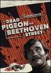 Dead Pigeon on Beethoven Street
