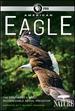 Nature: American Eagle [Blu-Ray]
