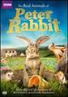 Real Animals of Peter Rabbit, the