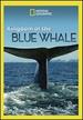Kingdom of the Blue Whale