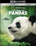 Pandas 4k Ultra Hd Blu-Ray + Blu-Ray Imax Original Film