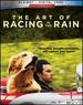 Art of Racing in the Rain, the Blu-Ray
