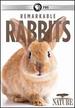 Nature-Remarkable Rabbits