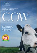 Cow - Andrea Arnold