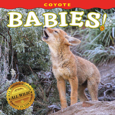 Coyote Babies! - Farcountry Press