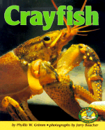 Crayfish