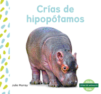 Crias de Hipopotamos (Hippo Calves)