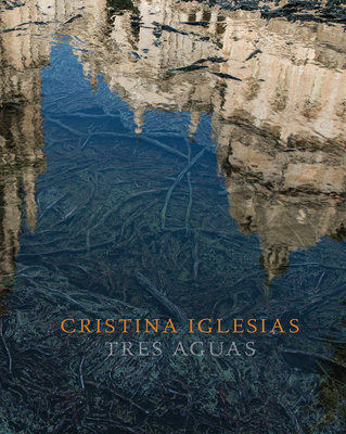 Cristina Iglesias: Tres Aguas - Colomina, Beatriz, and Lingwood, James, and Warner, Maria