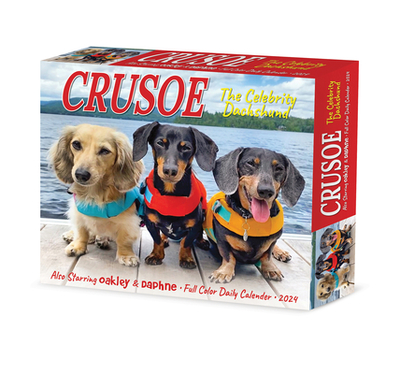Crusoe the Celebrity Dachshund 2024 6.2 X 5.4 Box Calendar (Calendar) - Ryan Beauchesne