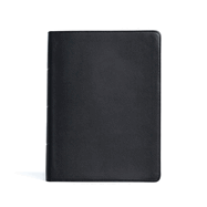 CSB Life Counsel Bible, Genuine Leather, Black: Practical Wisdom for All of Life