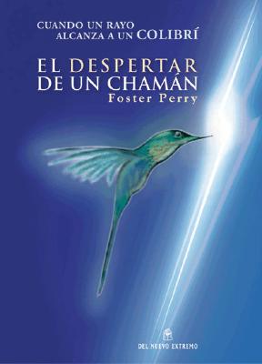 Cuando un Rayo Alcanza A un Colibri: El Despertar de un Chaman - Perry, Foster