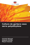 Culture de gerbera sous serre polythylne