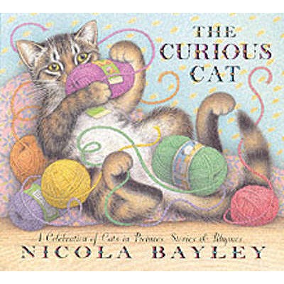 Curious Cat - Bayley Nicola