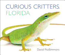 Curious Critters Florida
